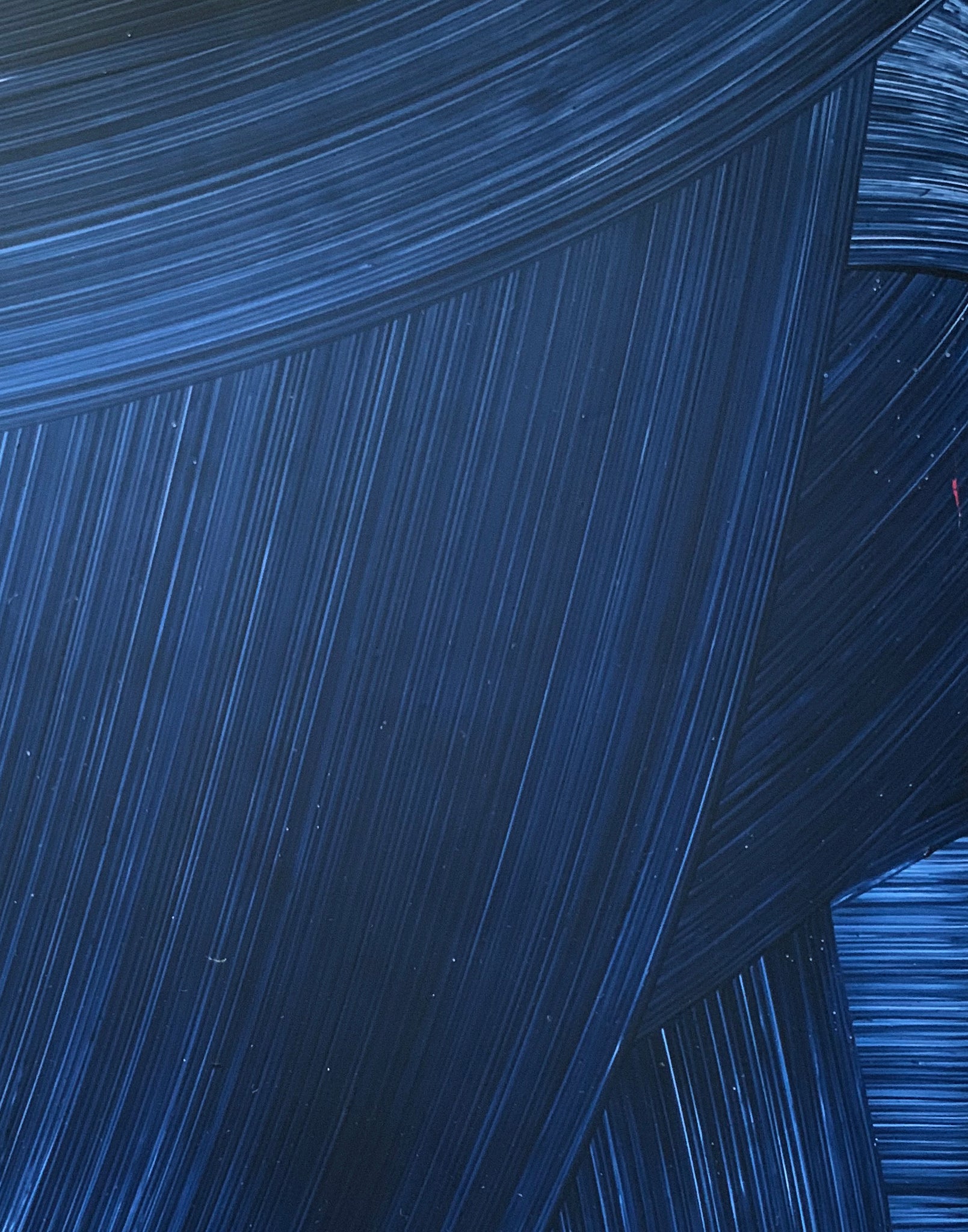 SWEEP | QUARANTINE COLLECTION