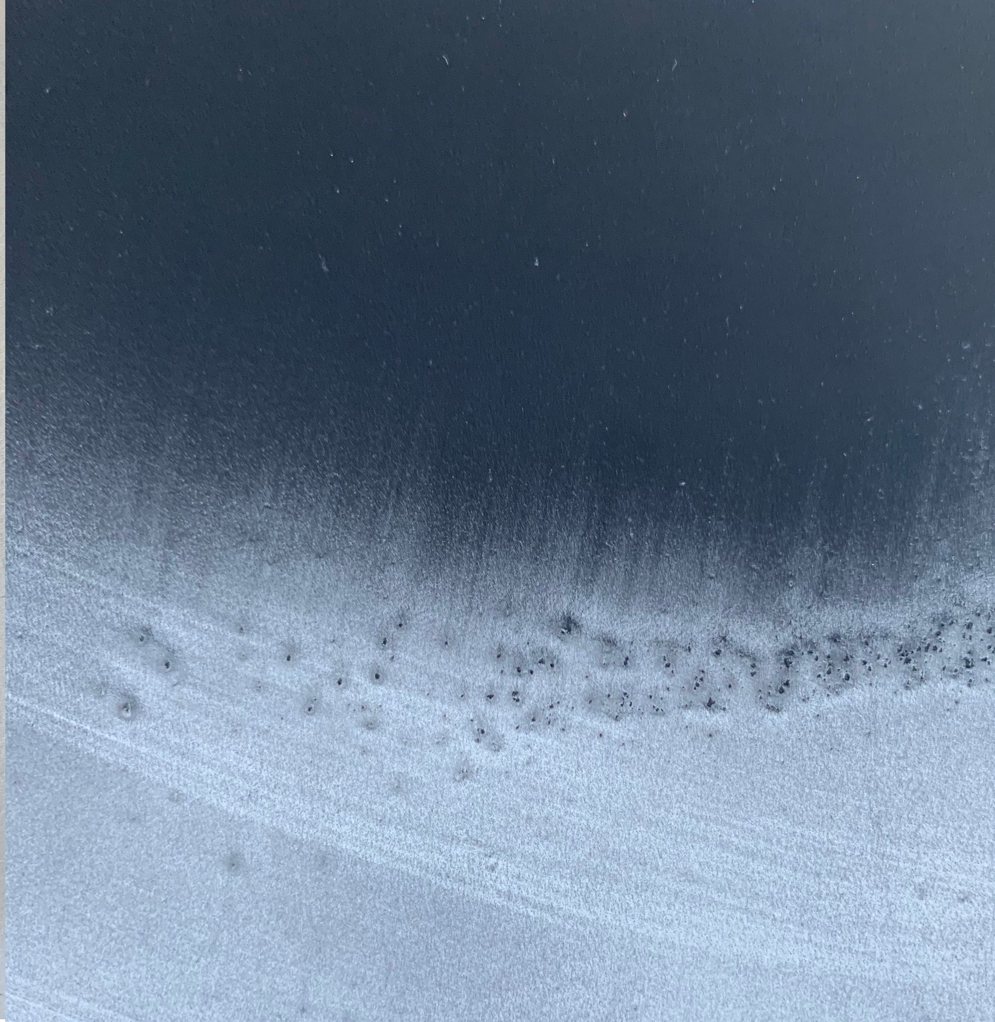 SUBMERGENCE | QUARANTINE COLLECTION