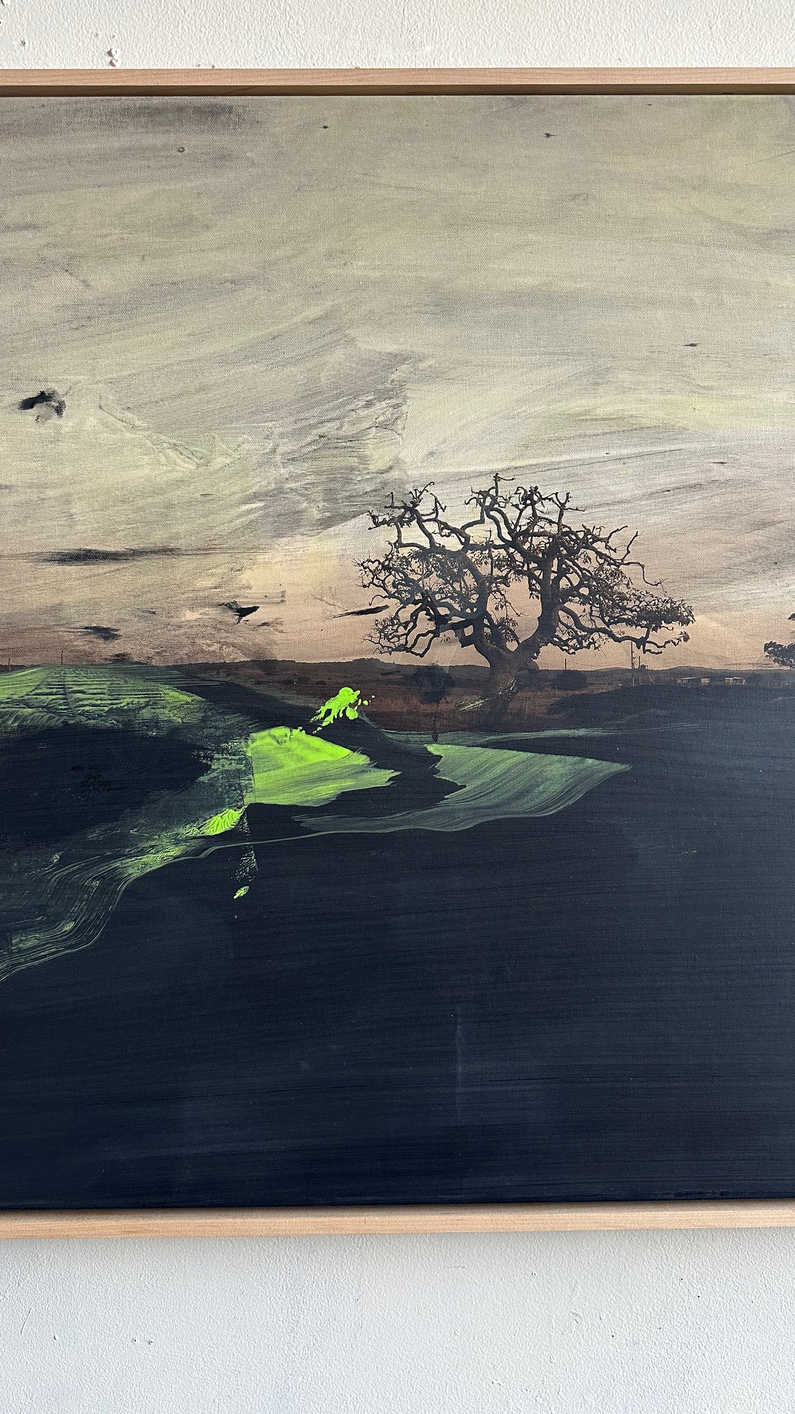 Árbol en Garzón