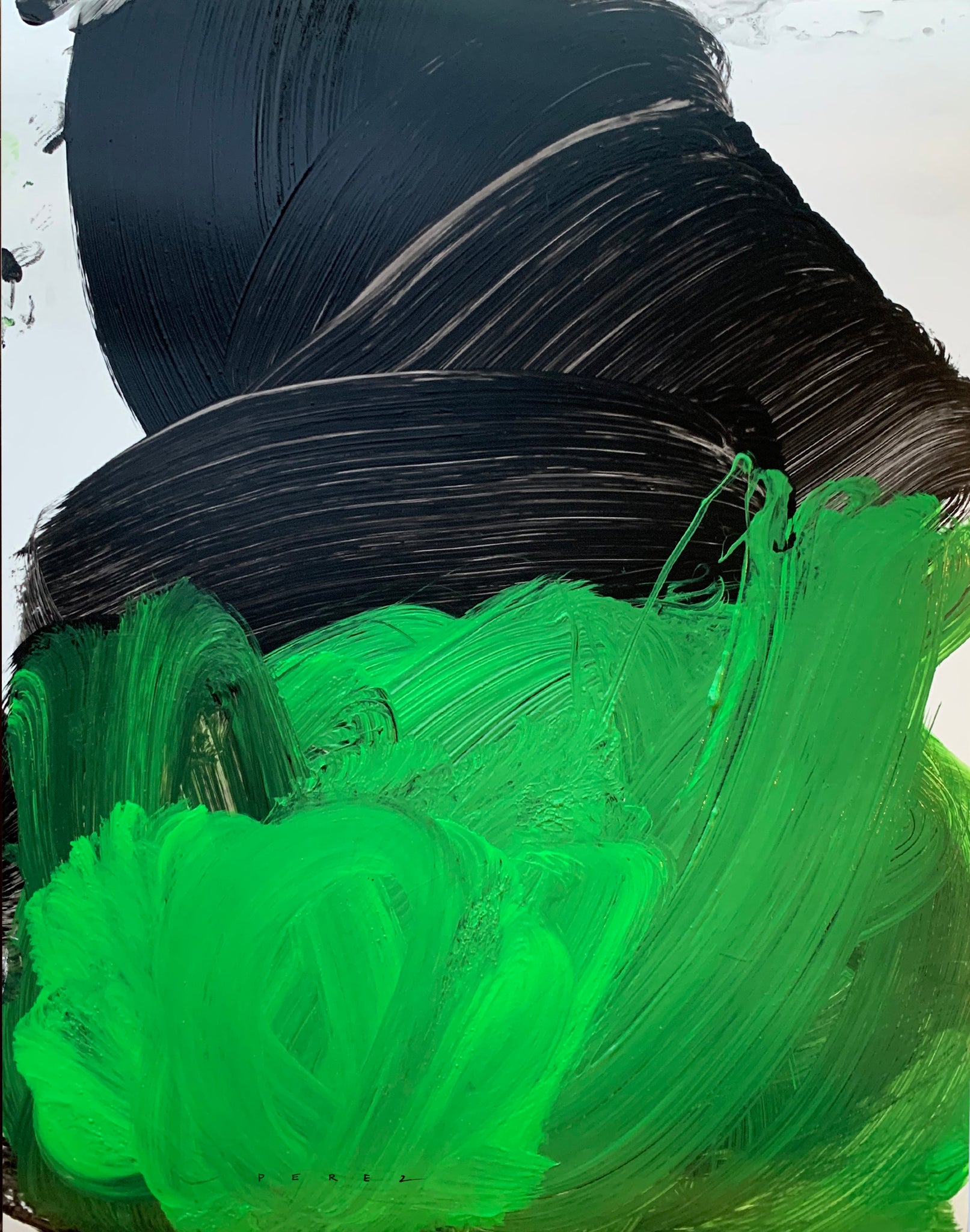 BREATHING THE GREEN | QUARANTINE COLLECTION