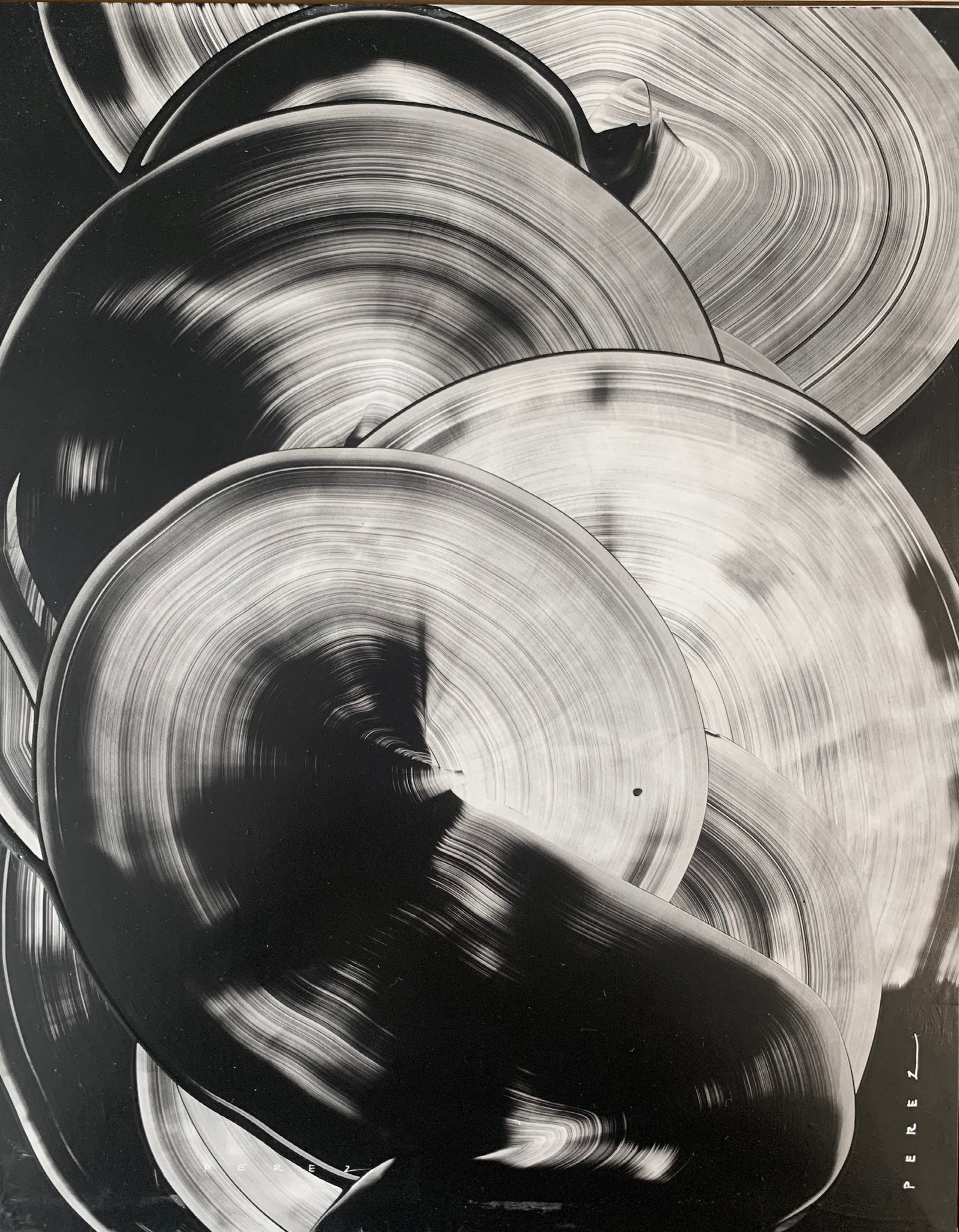 CYCLES | QUARANTINE COLLECTION