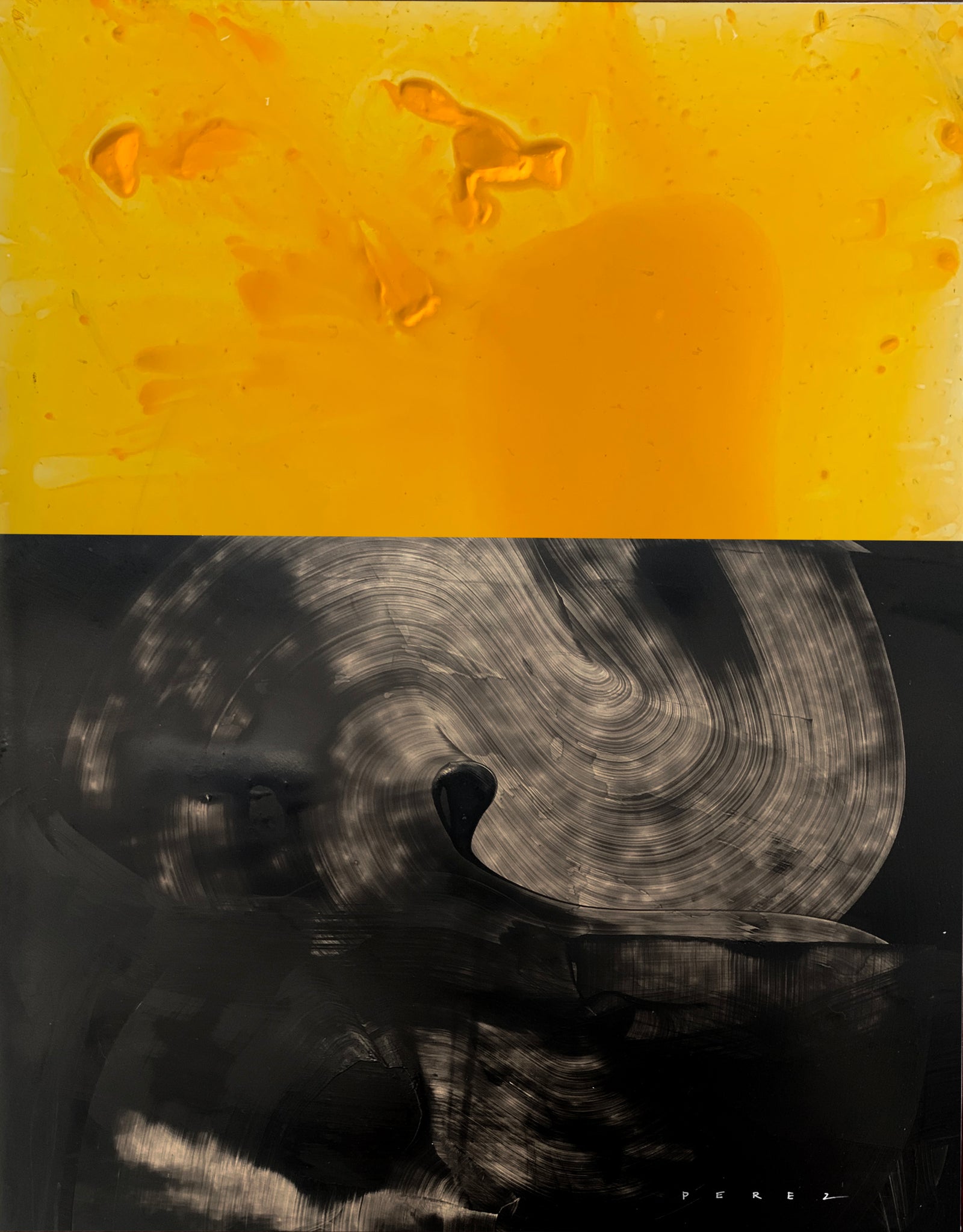 HONEY DIPPED | QUARANTINE COLLECTION