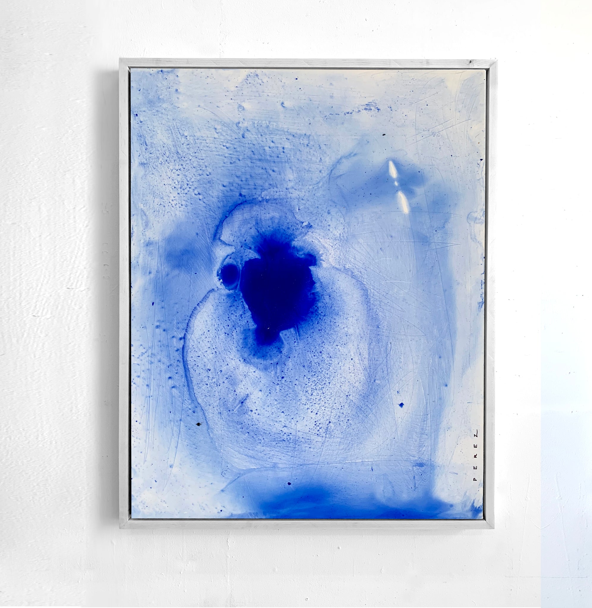 JELLYFISH HAVE NO BRAINS | QUARANTINE COLLECTION