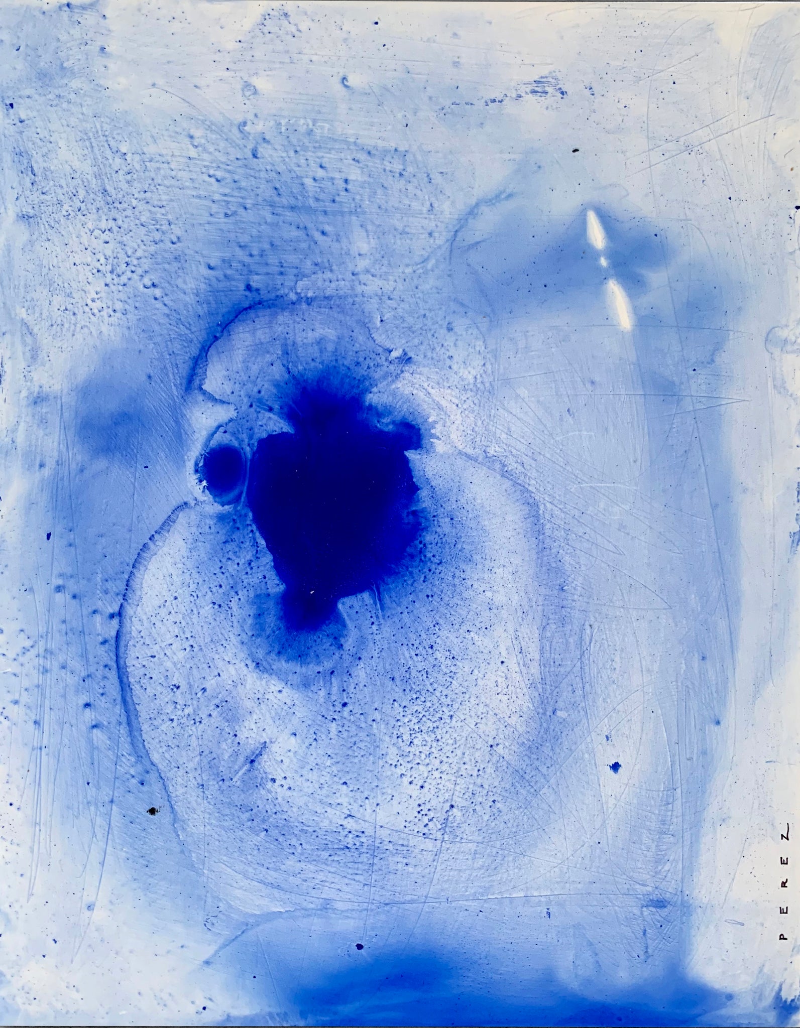 JELLYFISH HAVE NO BRAINS | QUARANTINE COLLECTION