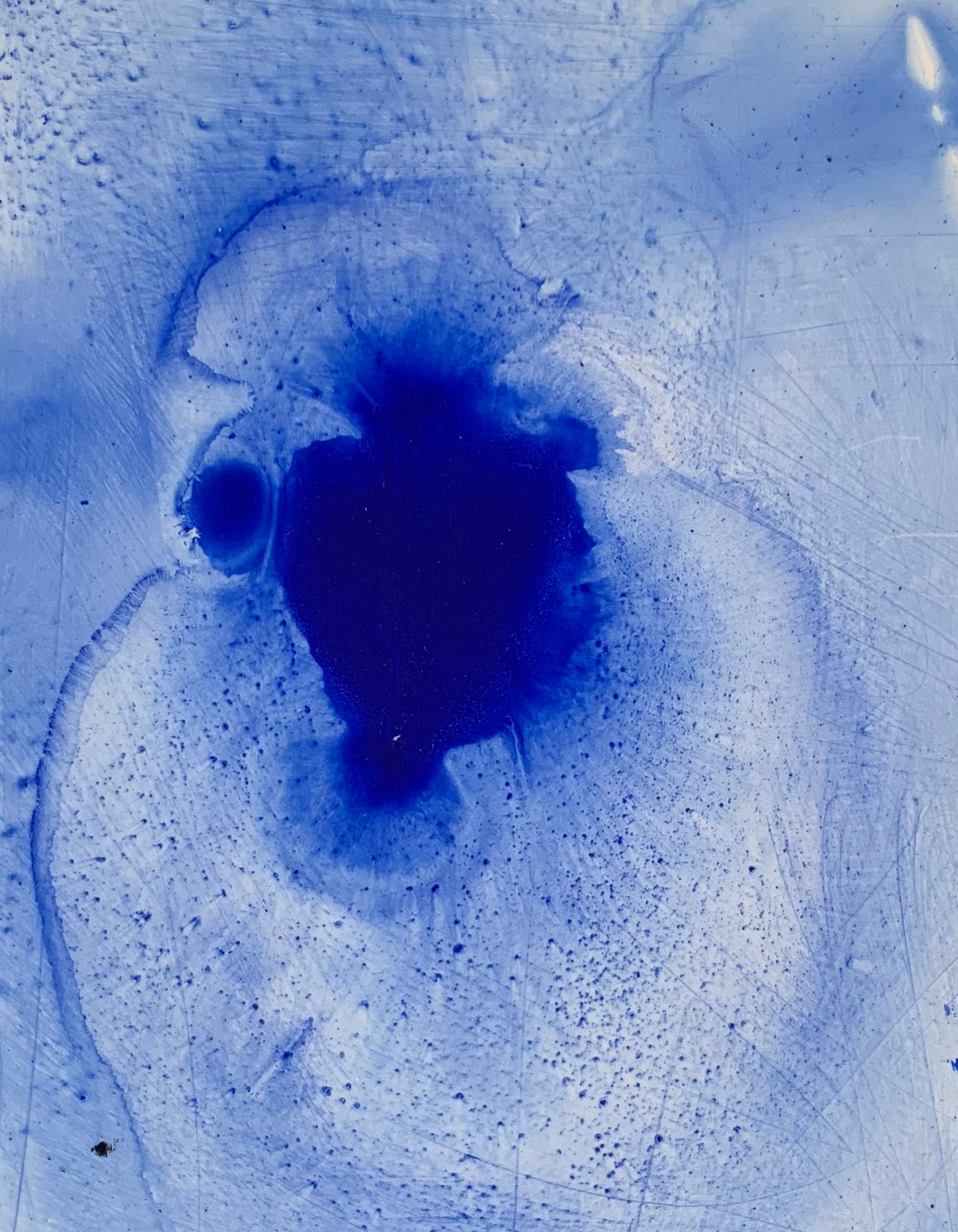 JELLYFISH HAVE NO BRAINS | QUARANTINE COLLECTION