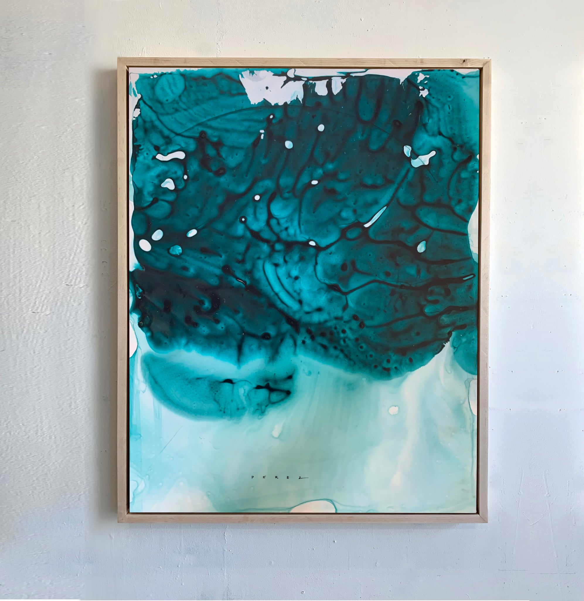 METAMORPHOSIS | QUARANTINE COLLECTION