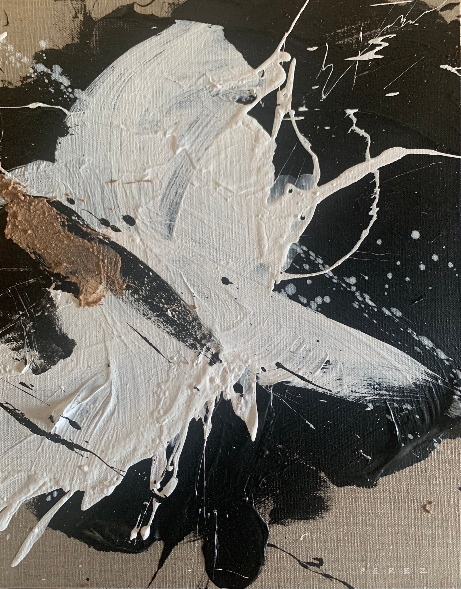 STUDY 03 | QUARANTINE FINALE COLLECTION