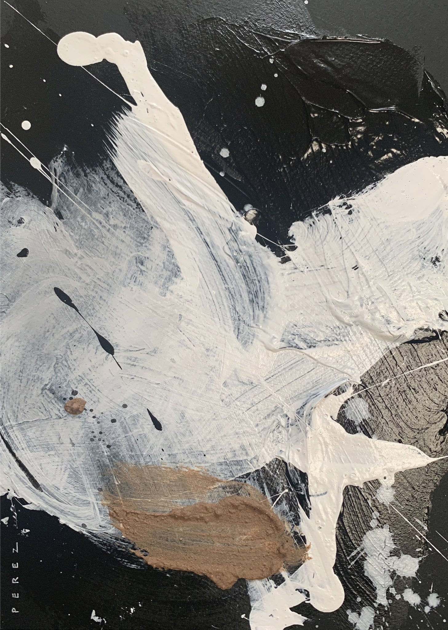 STUDY 07 | QUARANTINE FINALE COLLECTION