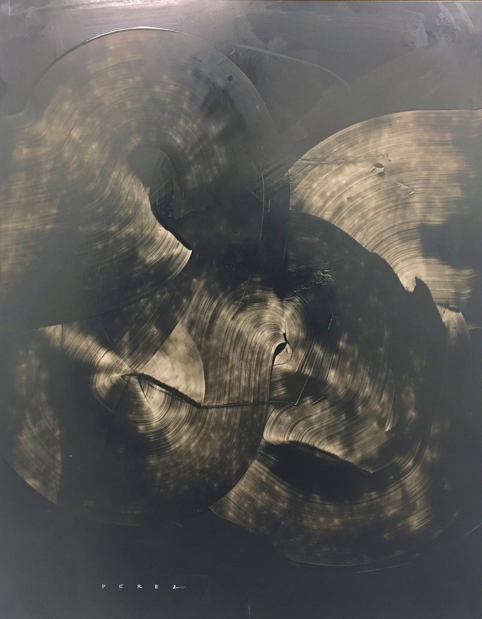 SHE WAS BORN | QUARANTINE COLLECTION