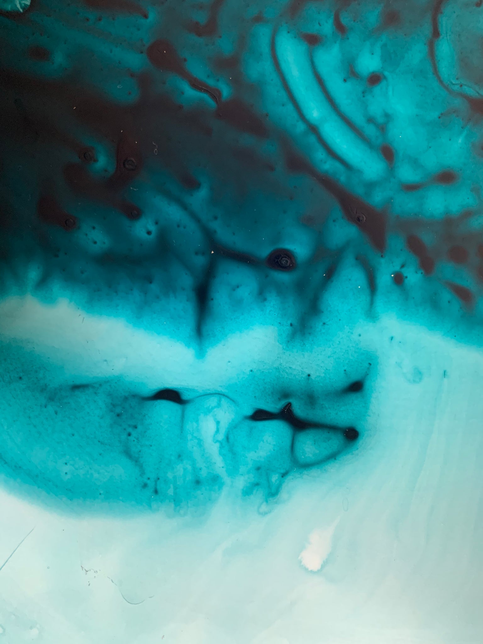 METAMORPHOSIS | QUARANTINE COLLECTION